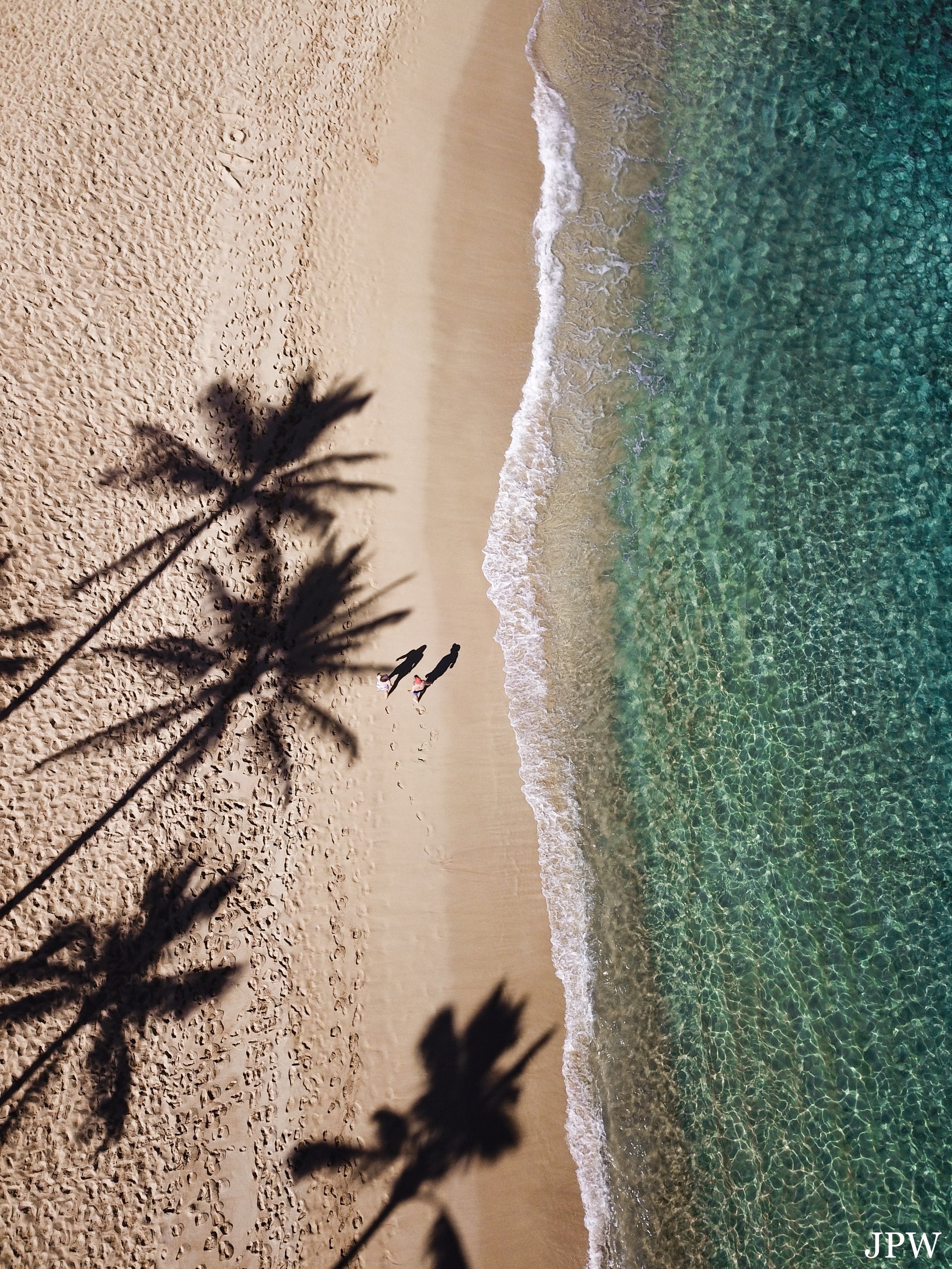 Palm Tree Shadows