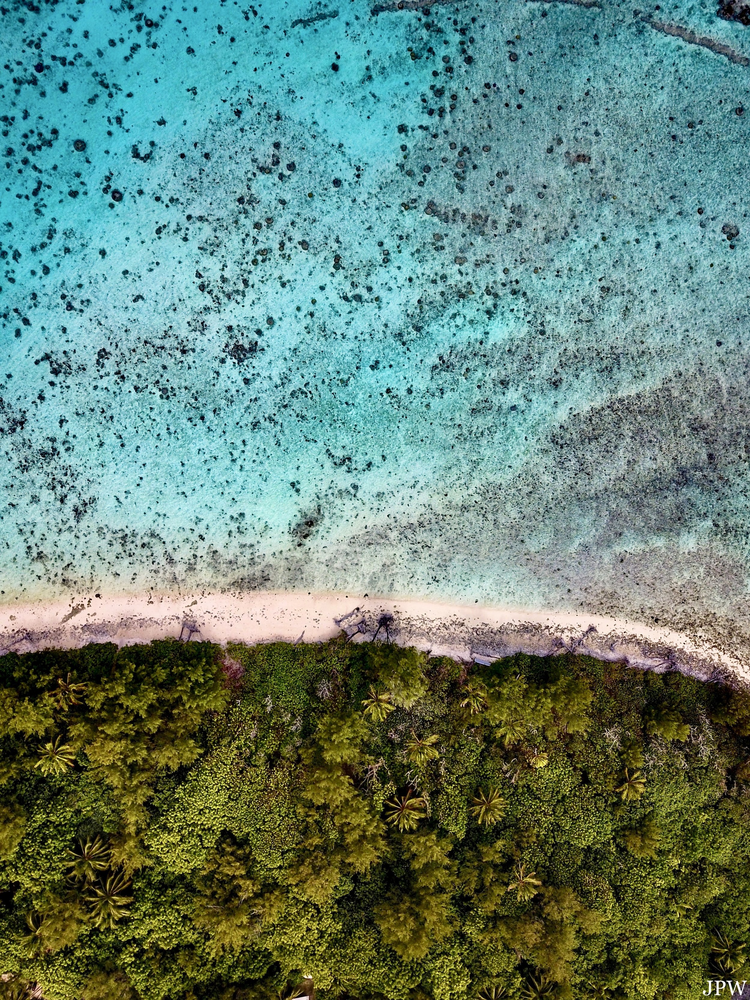 Rarotonga Shoreline