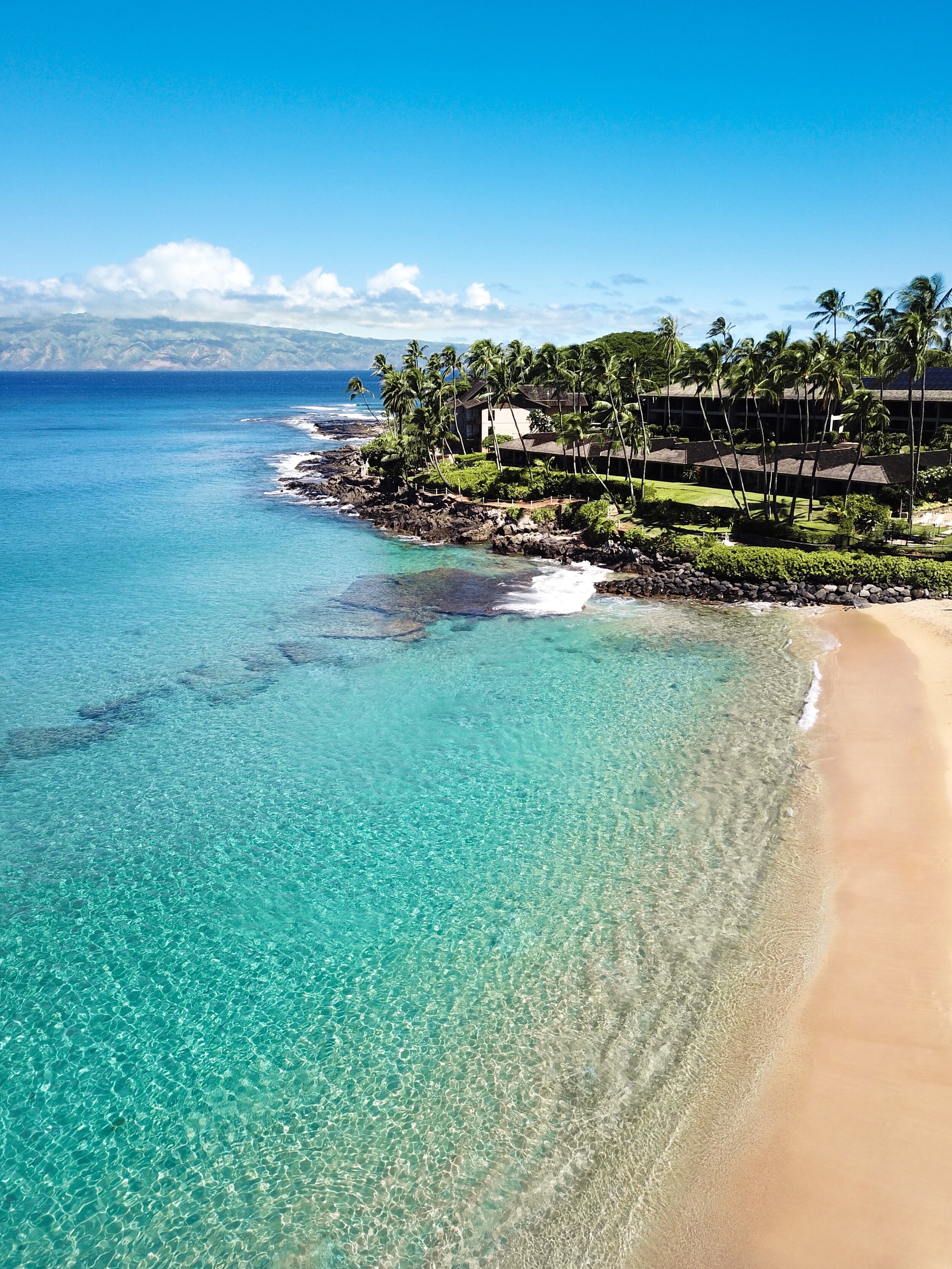 Maui Good Vibes