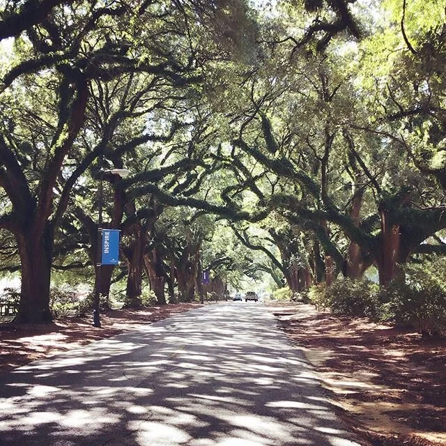 walks in the neighborhood