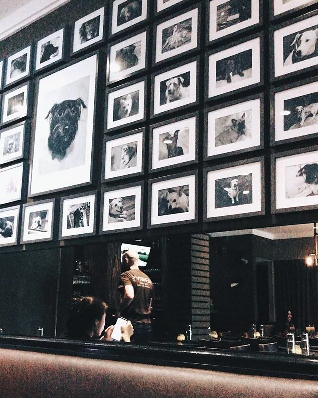 love a good dog wall