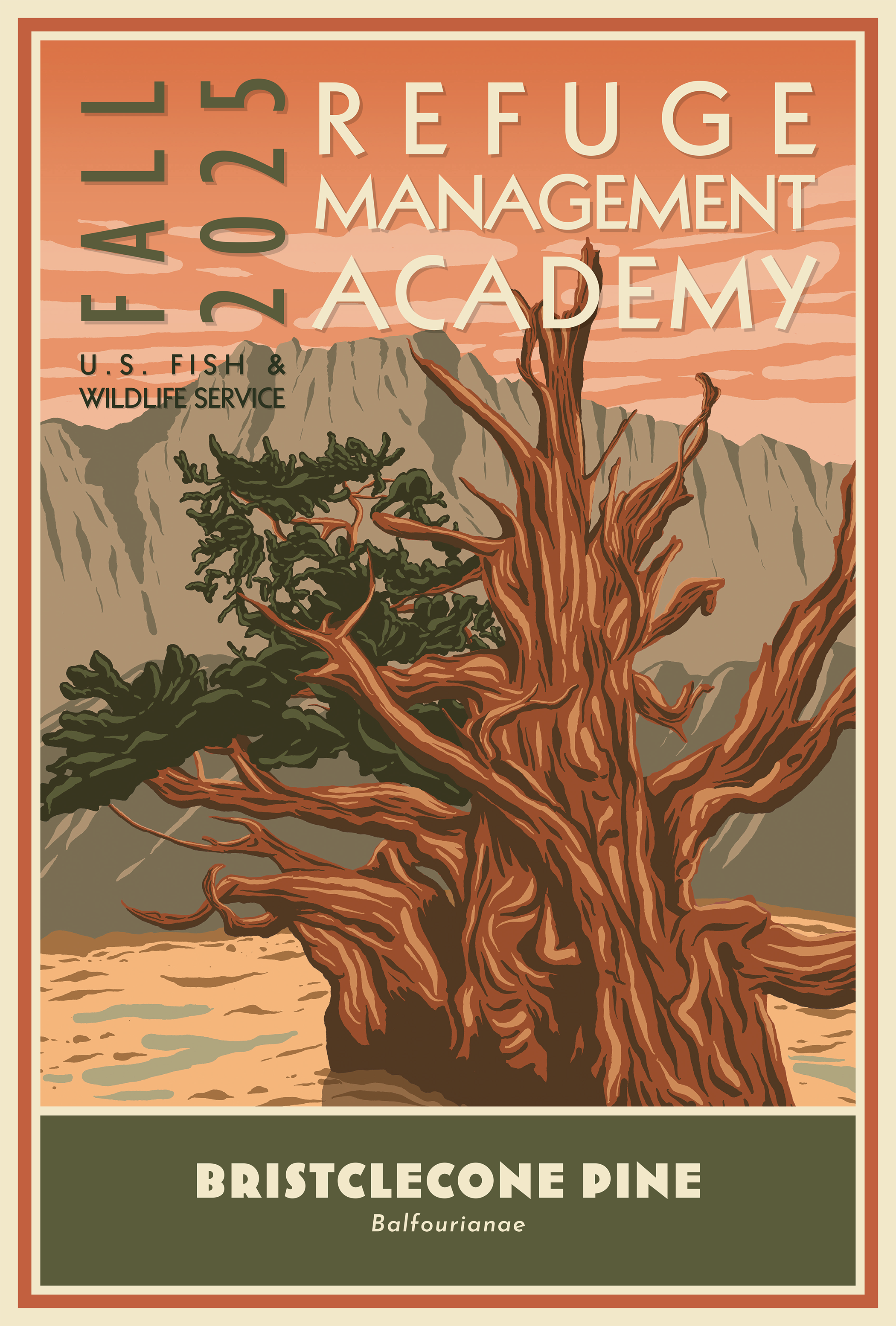 WPA RMA Bristlecone Pine Fall 2025.png