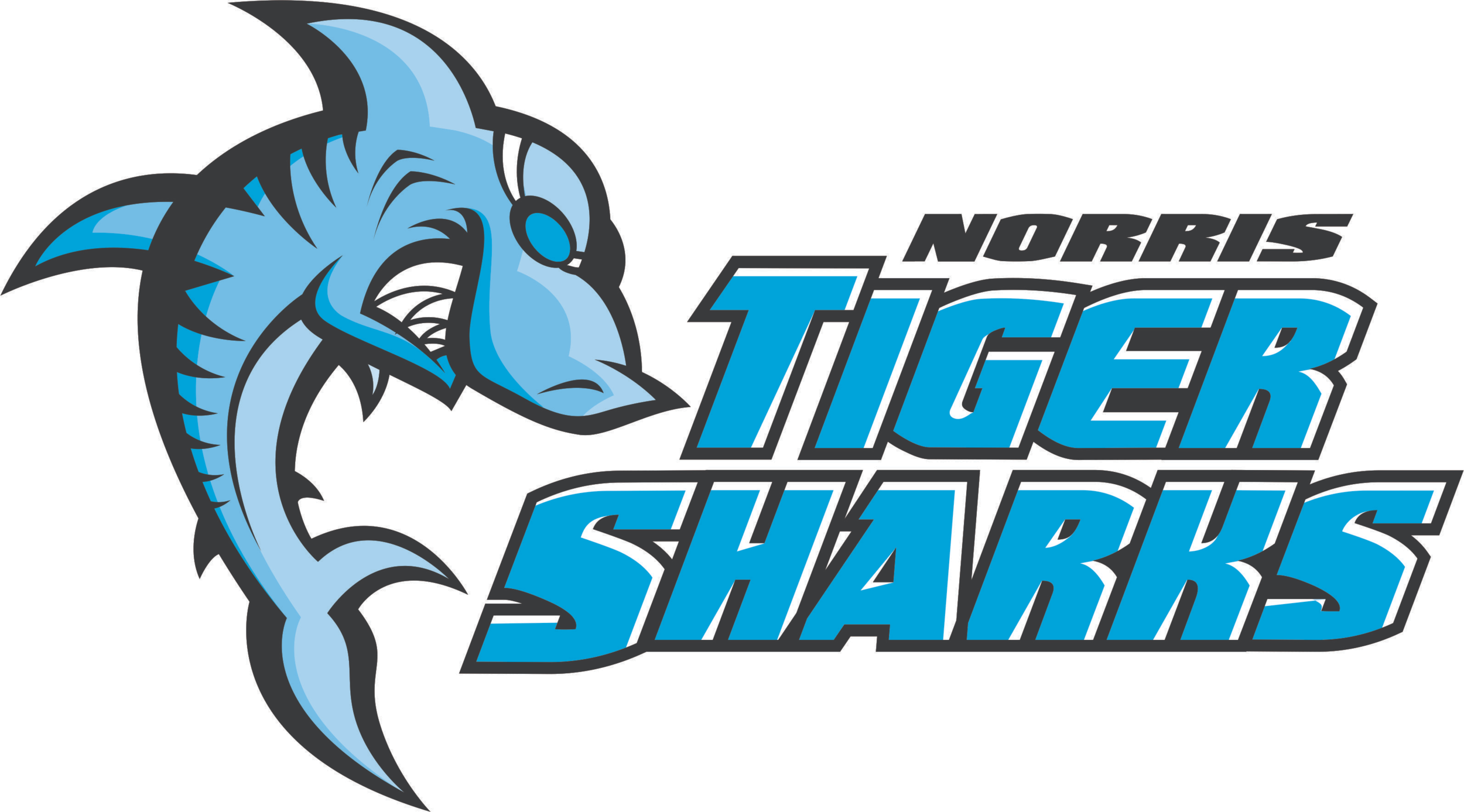 Summer Programs — Naples Swim School