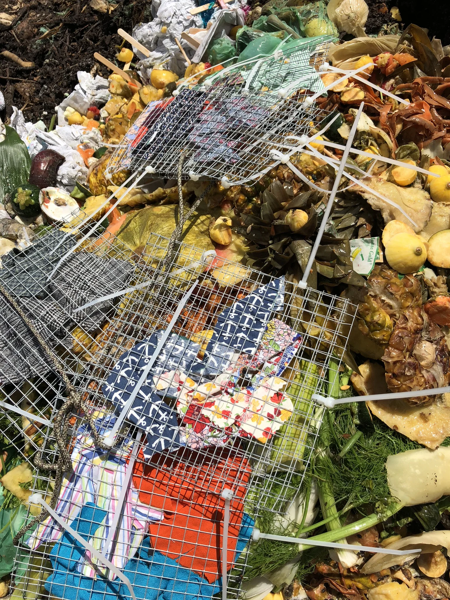 Fabric Composting : An Experiment in Recycling with Suncoast Compost