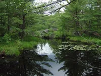 Coldbrooklake_200.jpg