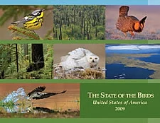 birdsCover_225.jpg