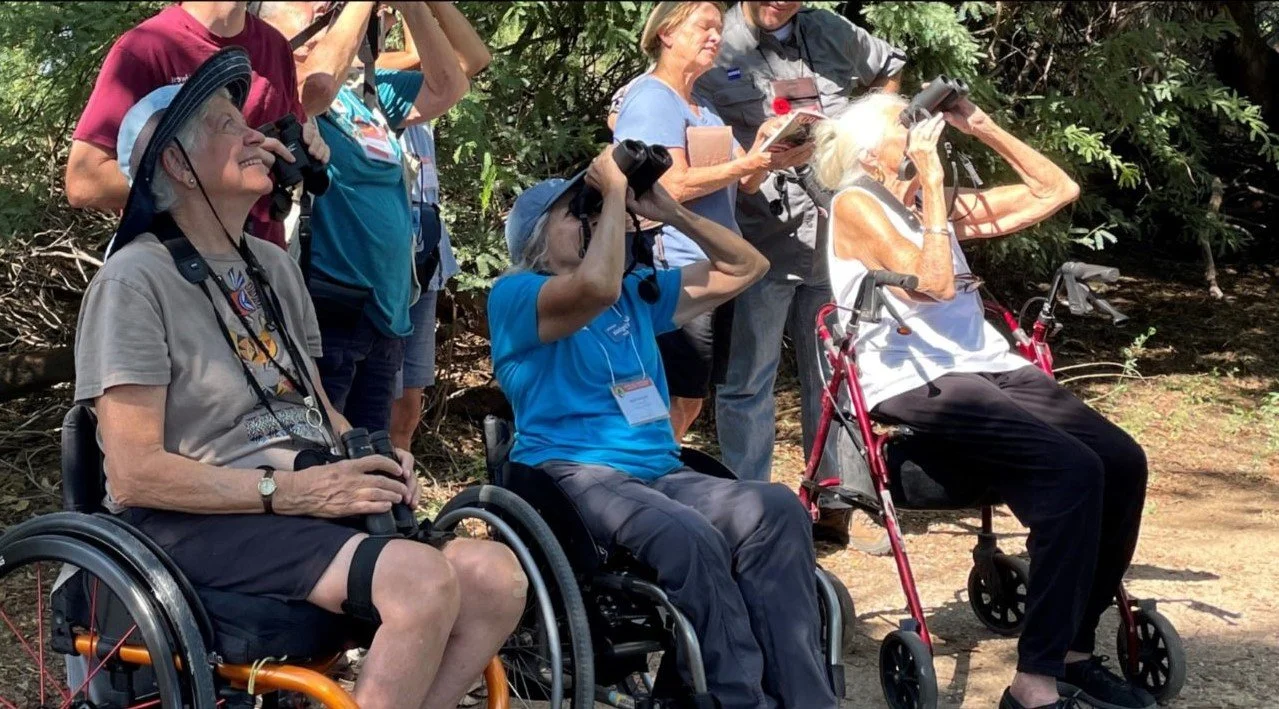 Birdability: because birding is for everybody and every body! - A Virtual Presentation