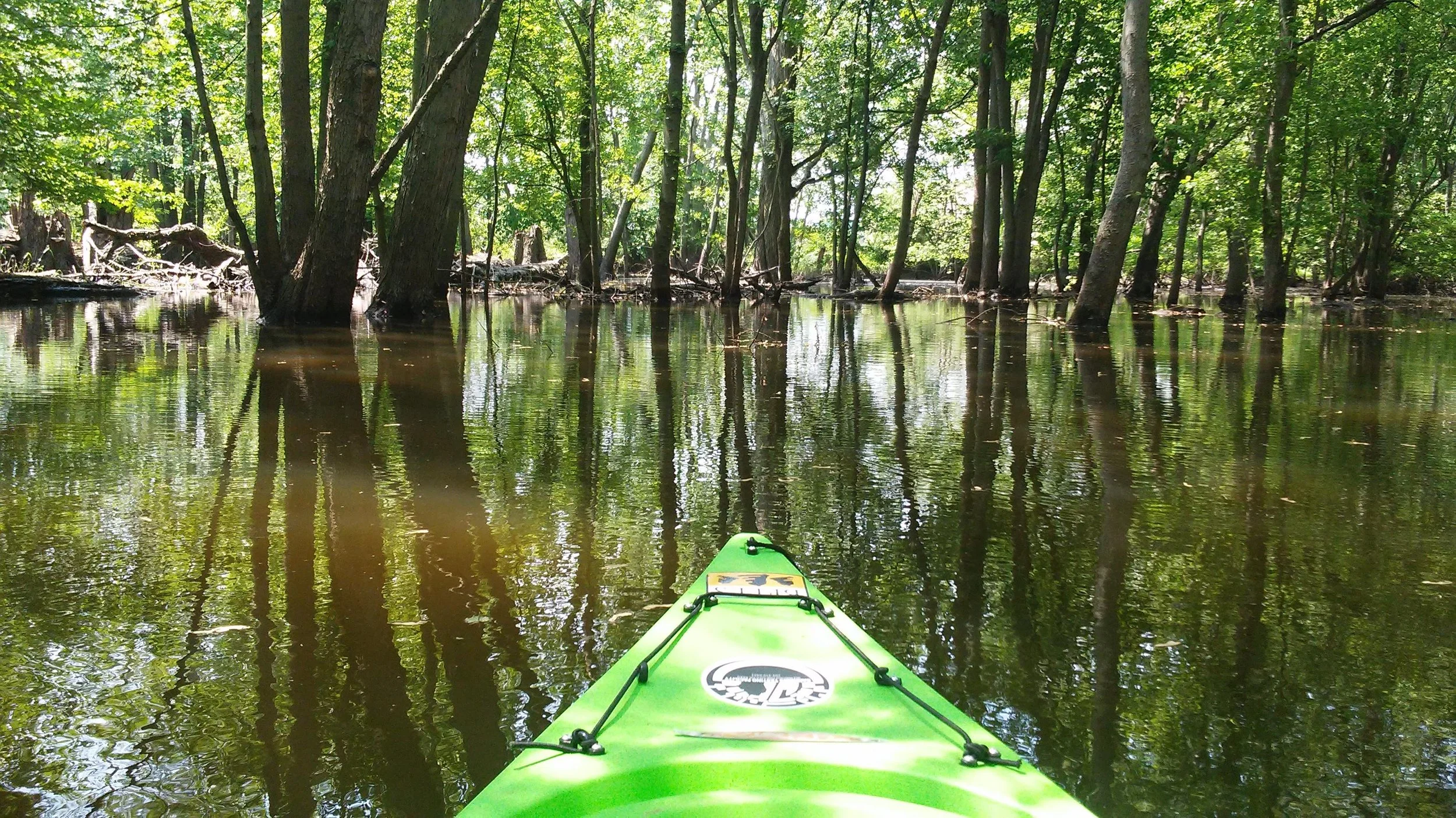 Rock River Birding By Kayak