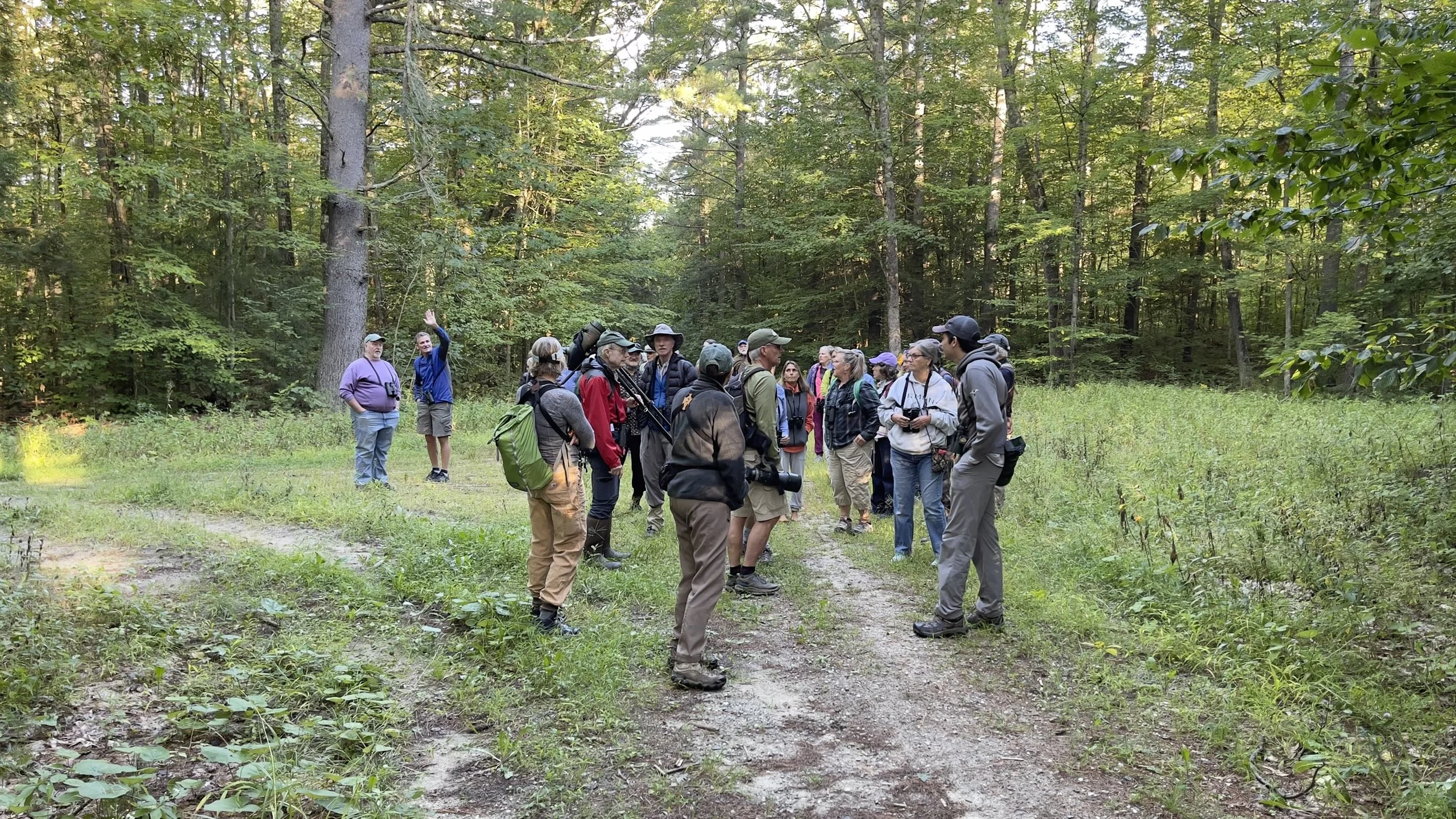 Bird Outings and Monitoring