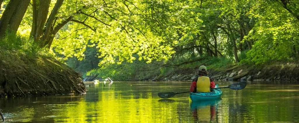 Rock River Birding by Kayak