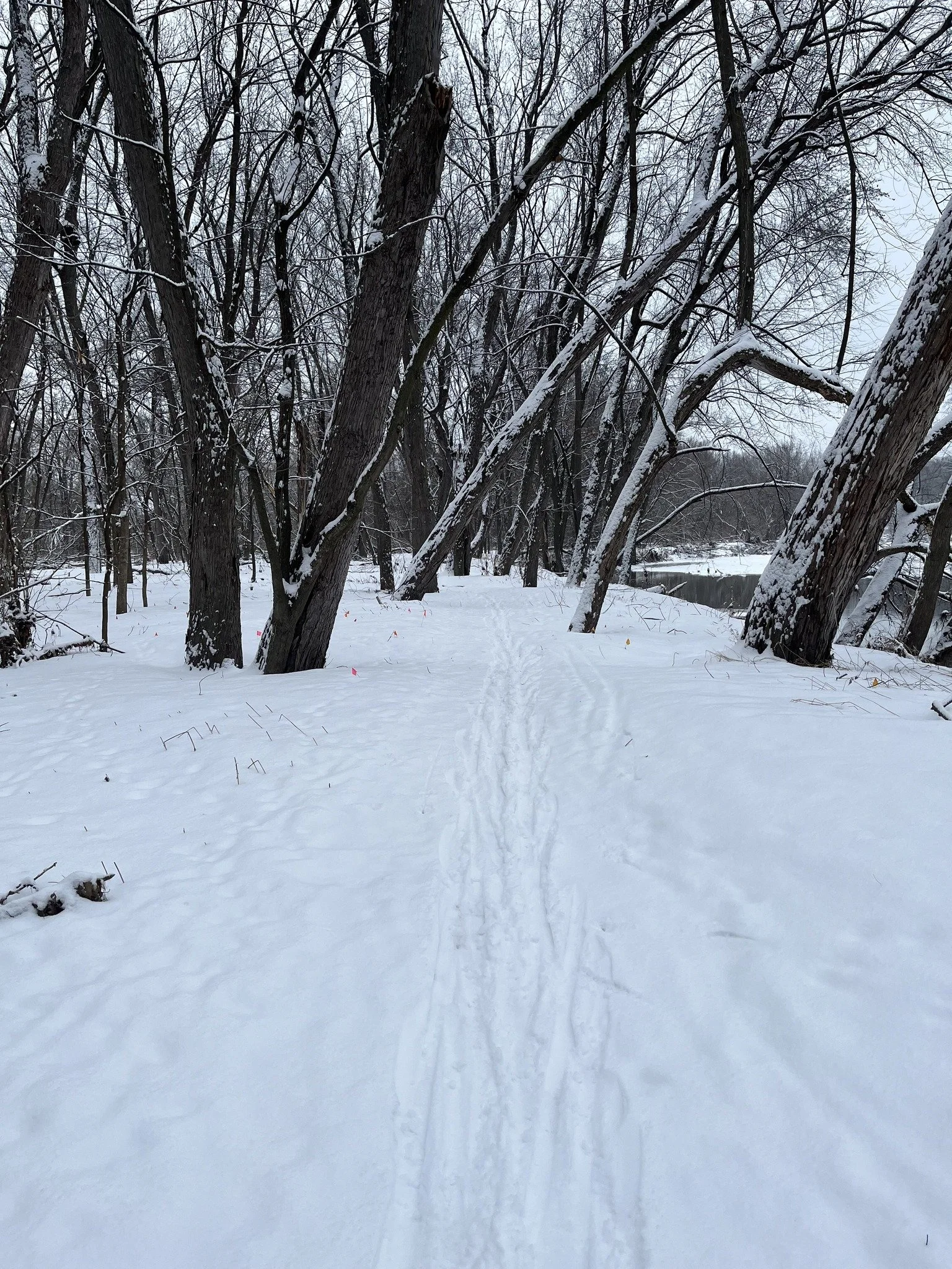 Winter Birding at the Ethan Allen Homestead