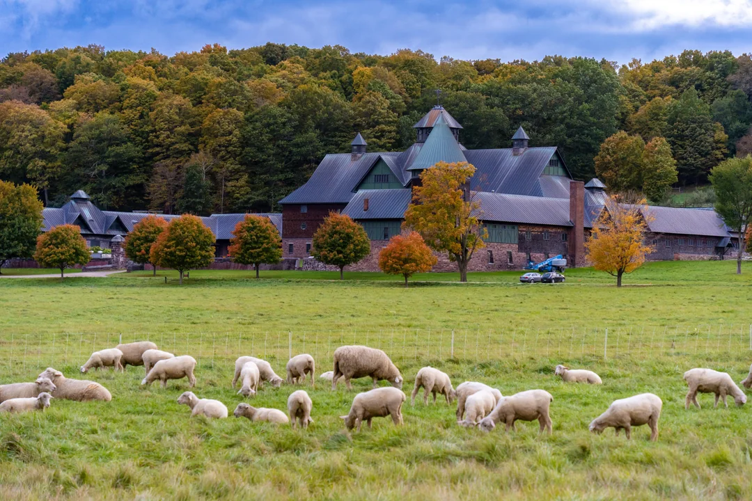 Fall Birding at Shelburne Farms