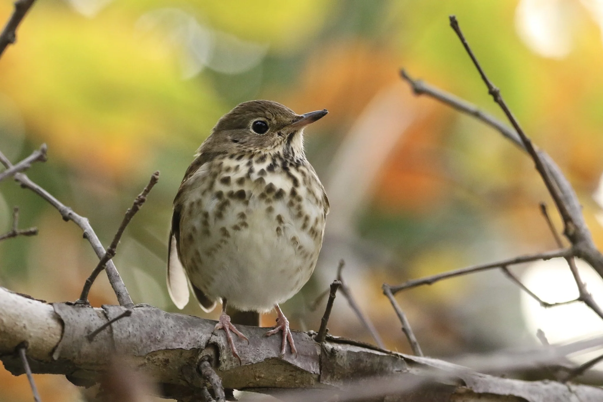 President's Message Fall 2025