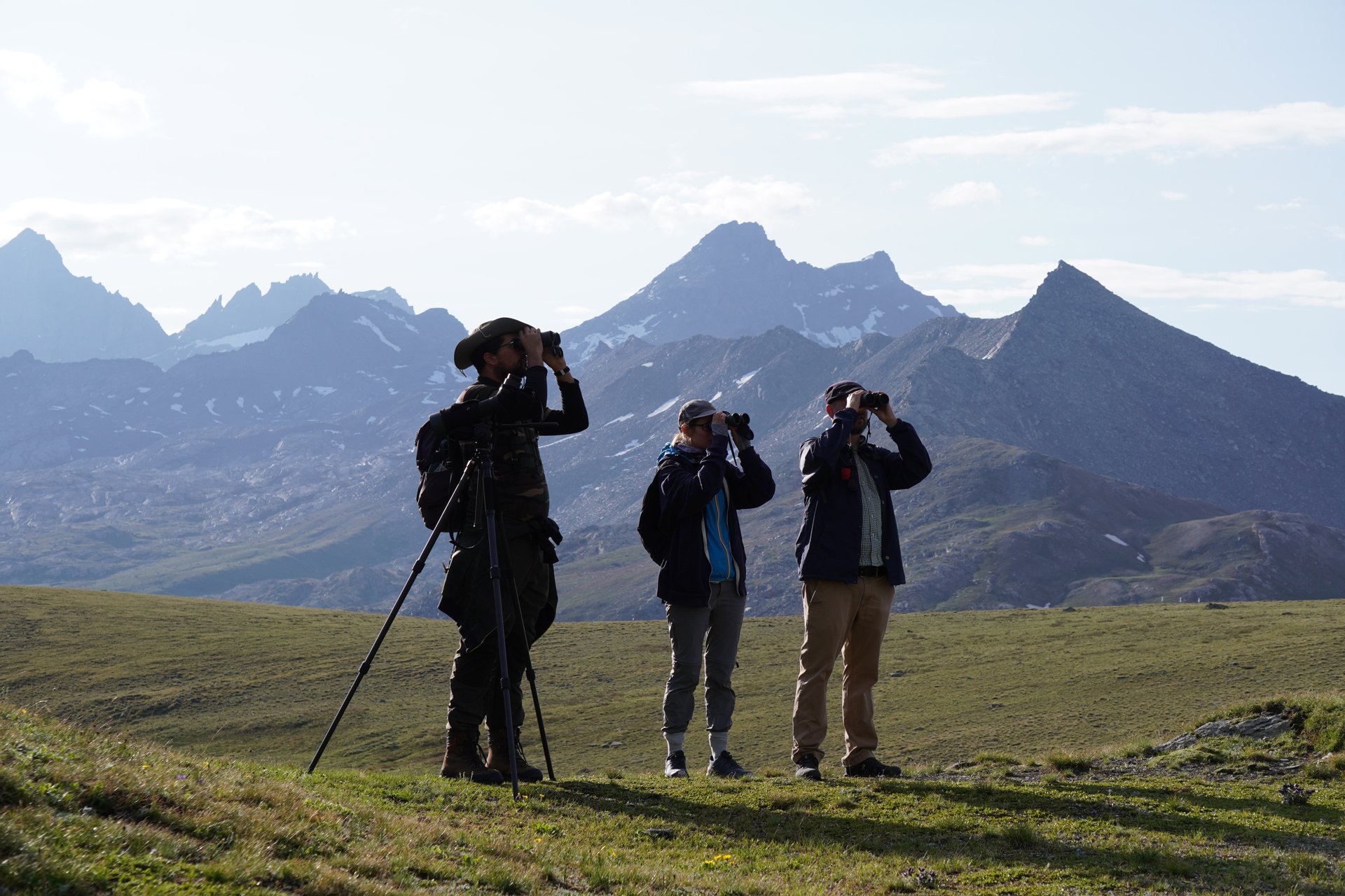 Planning for a Guided Birding Trip                                                                         