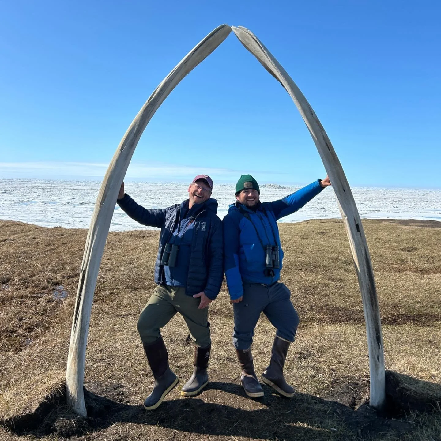 Birding Adventures with Chip &amp; Sam Darmstadt                                                                     
