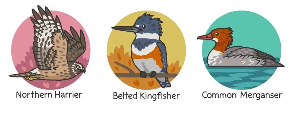 Words and Birds: The Nature Humor of Rosemary Mosco