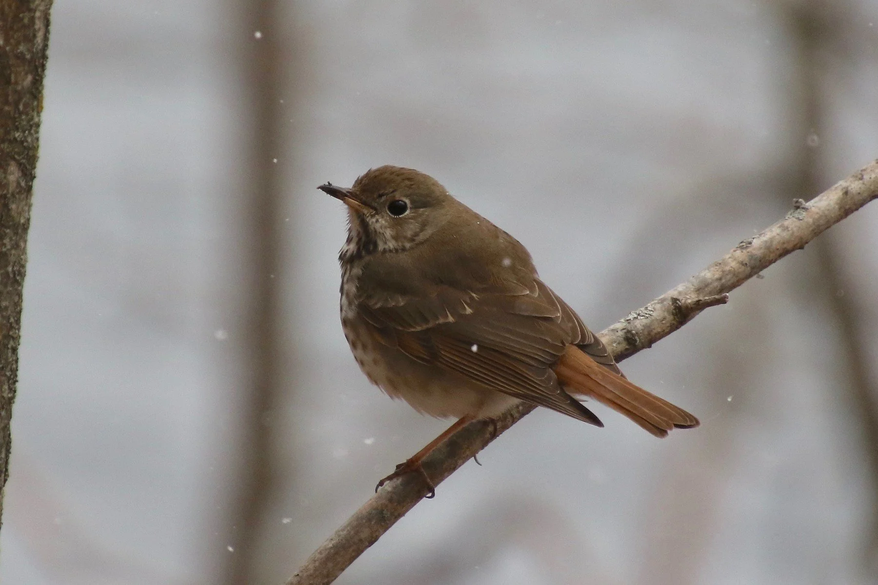 President’s Message Winter 2026