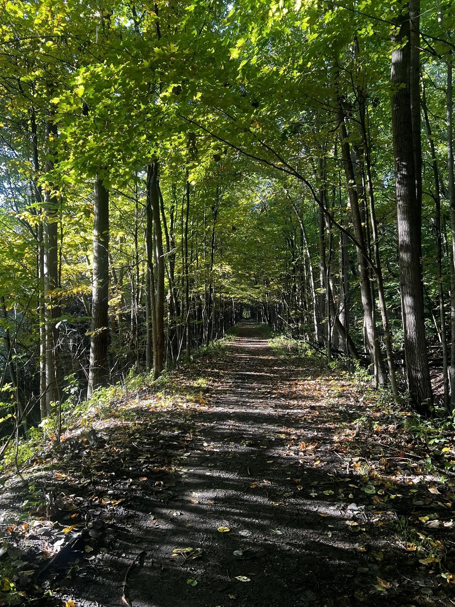 Warbler Walk at Pelots Natural Area in North Hero