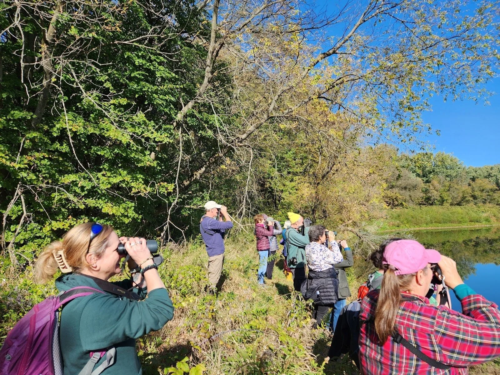 Bird Walk for New and Novice Birders