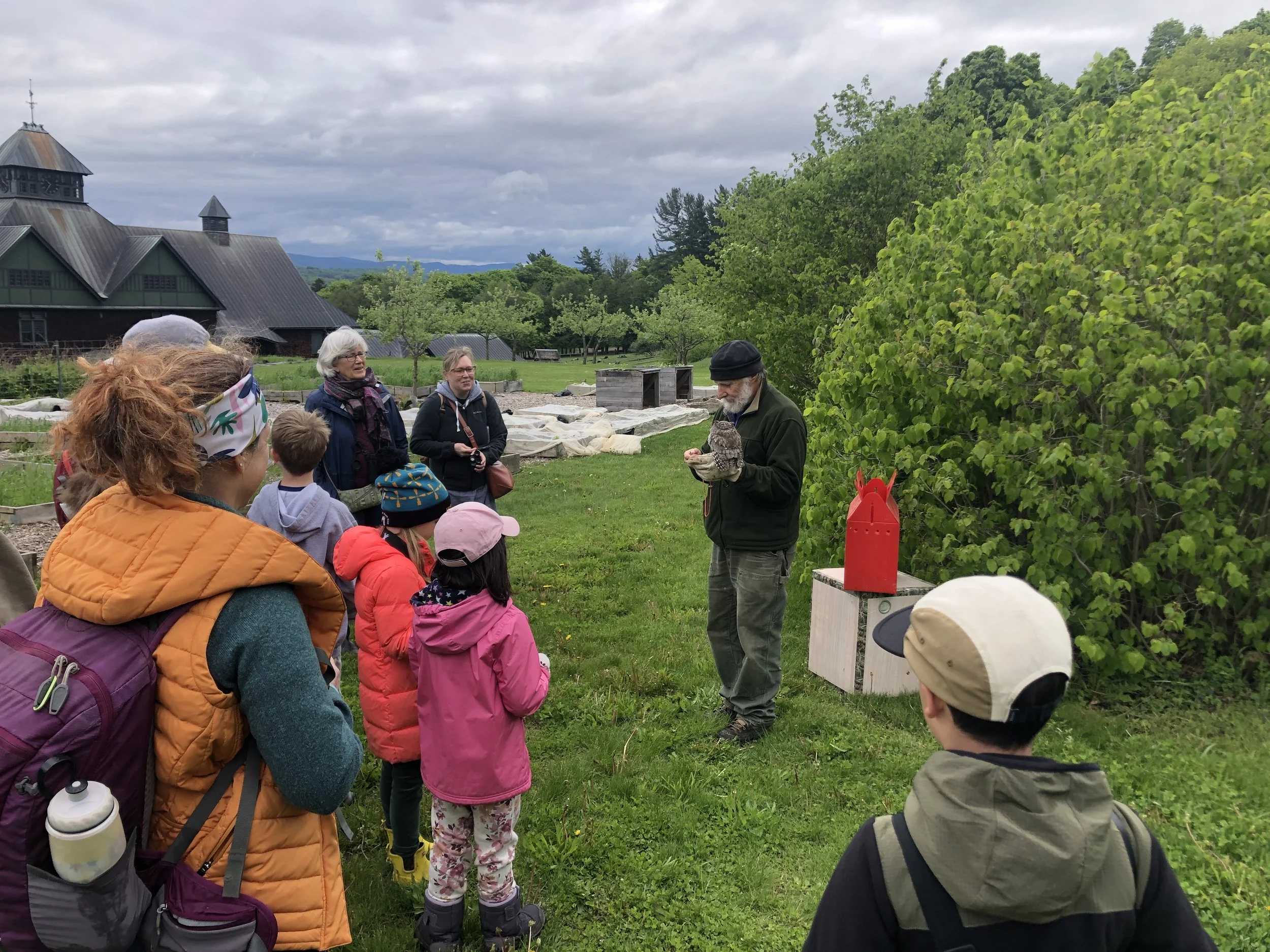 Family Bird Walk at Shelburne Farms