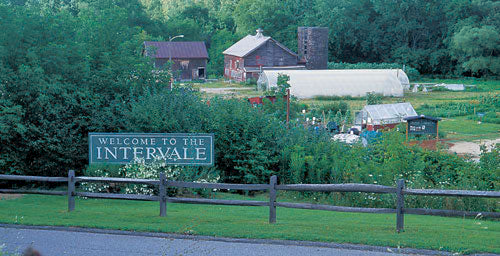 Family Birding at Burlington's Intervale