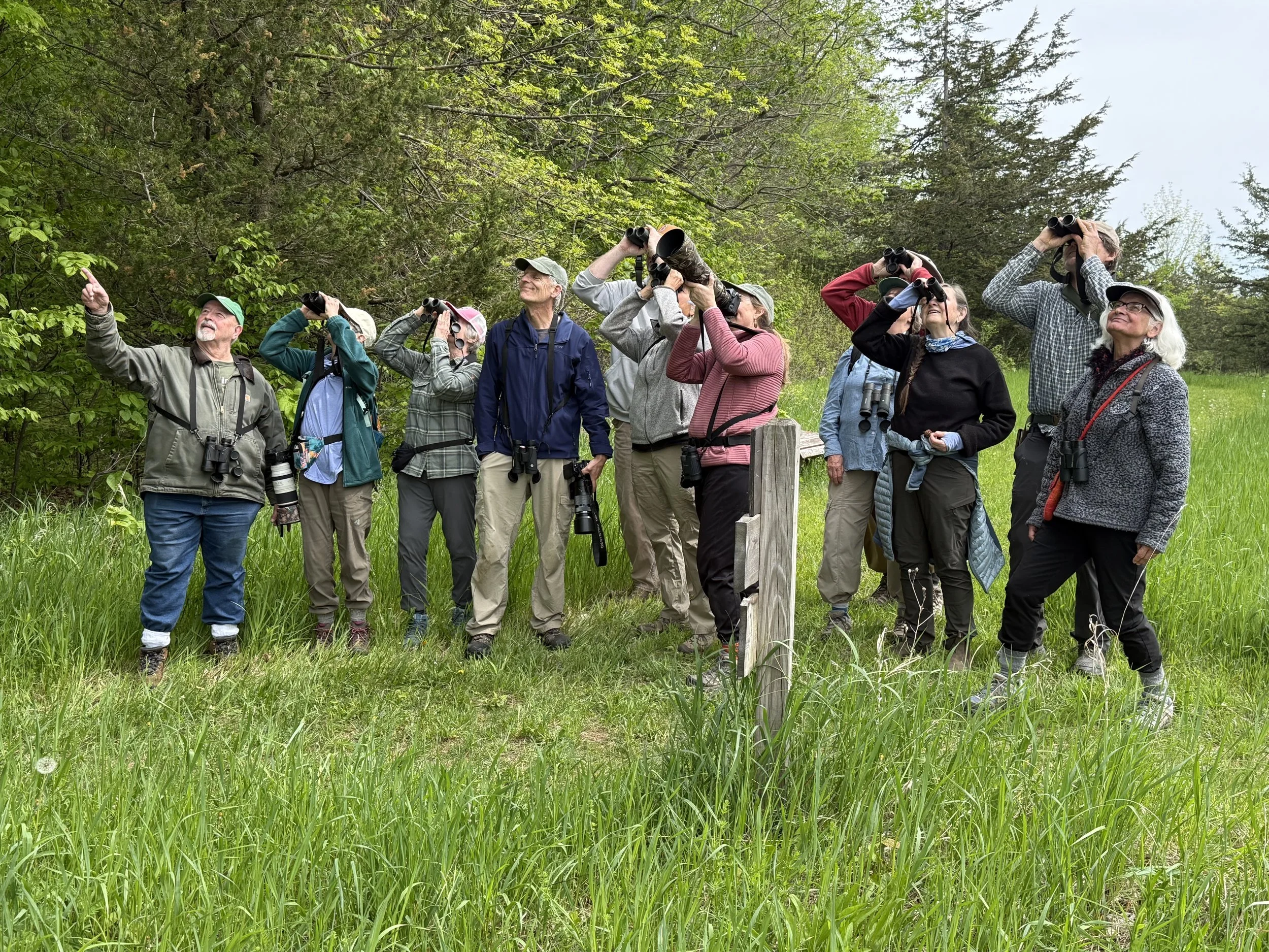 Bird Watching for NEW and NOVICE Birders at the Catamount Community Forest