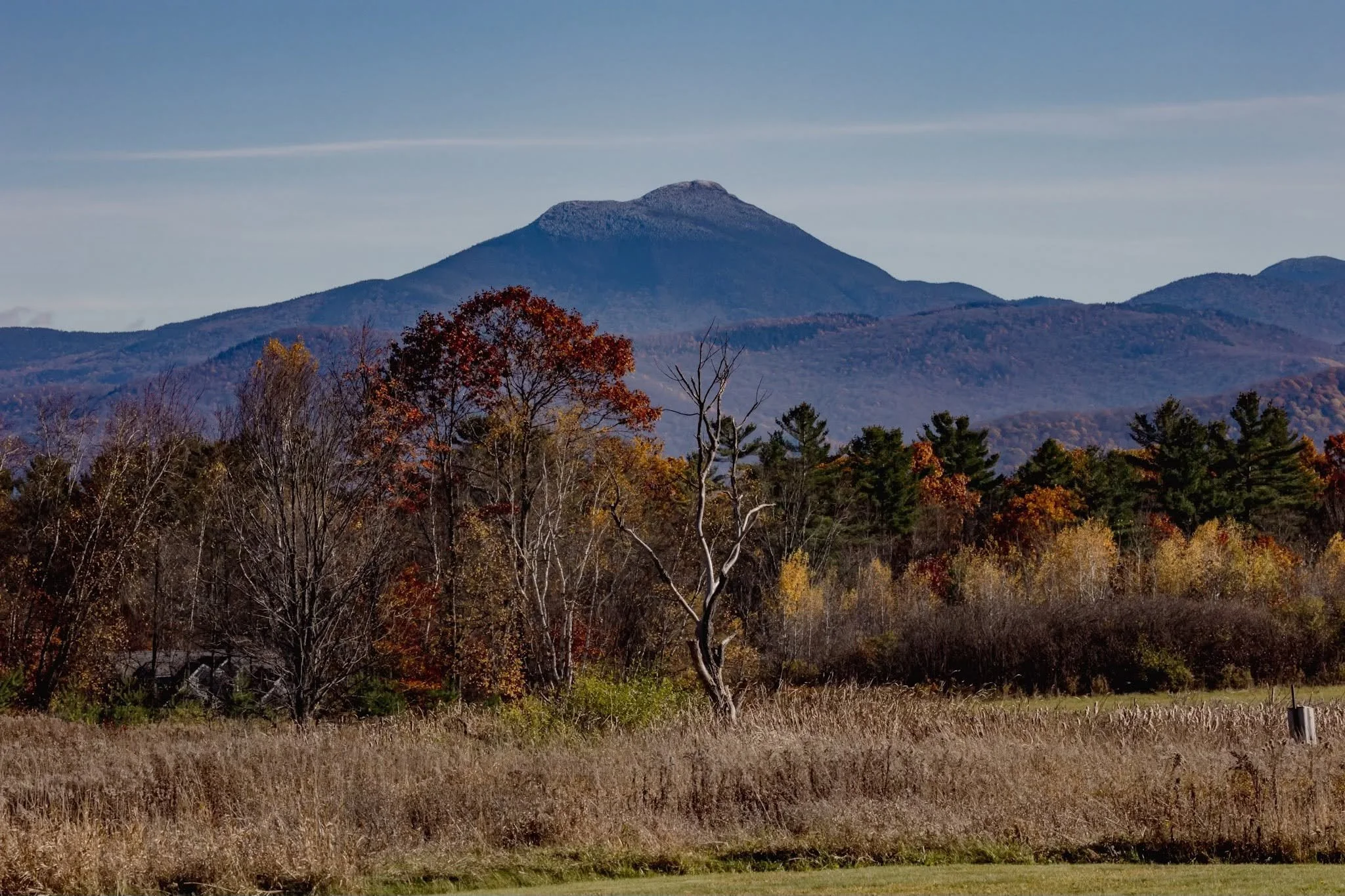 Fall Birding at Catamount Community Forest