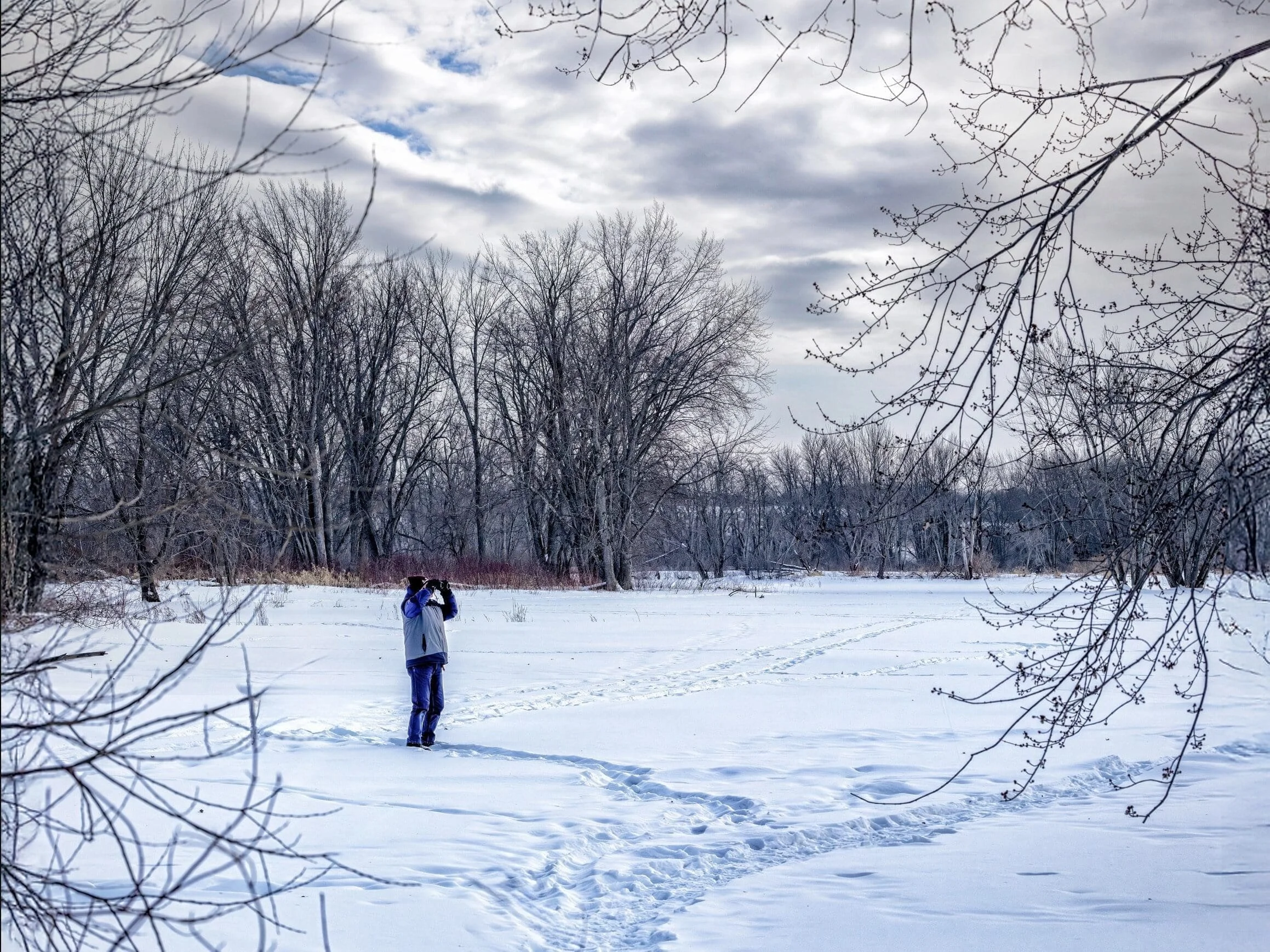 Annual Burlington Winter Bird Count