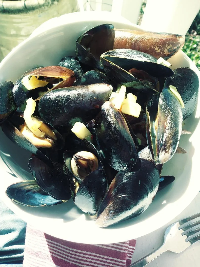 Mussles.jpg