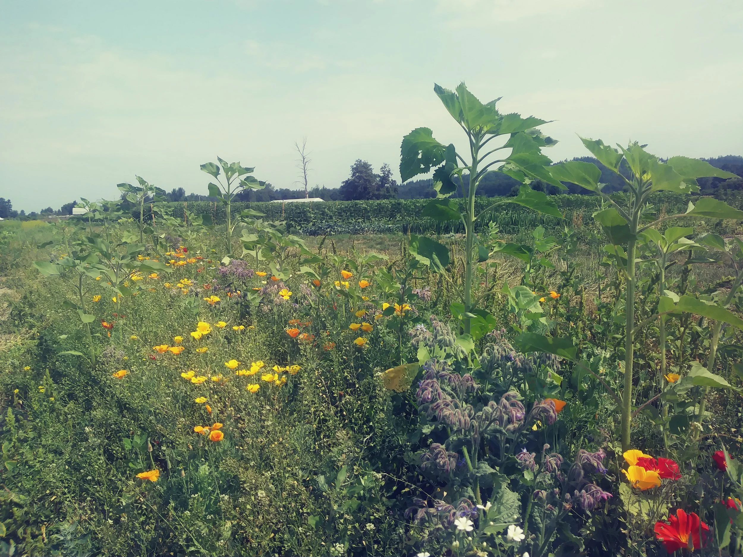 20180728_112113_Film1.jpg
