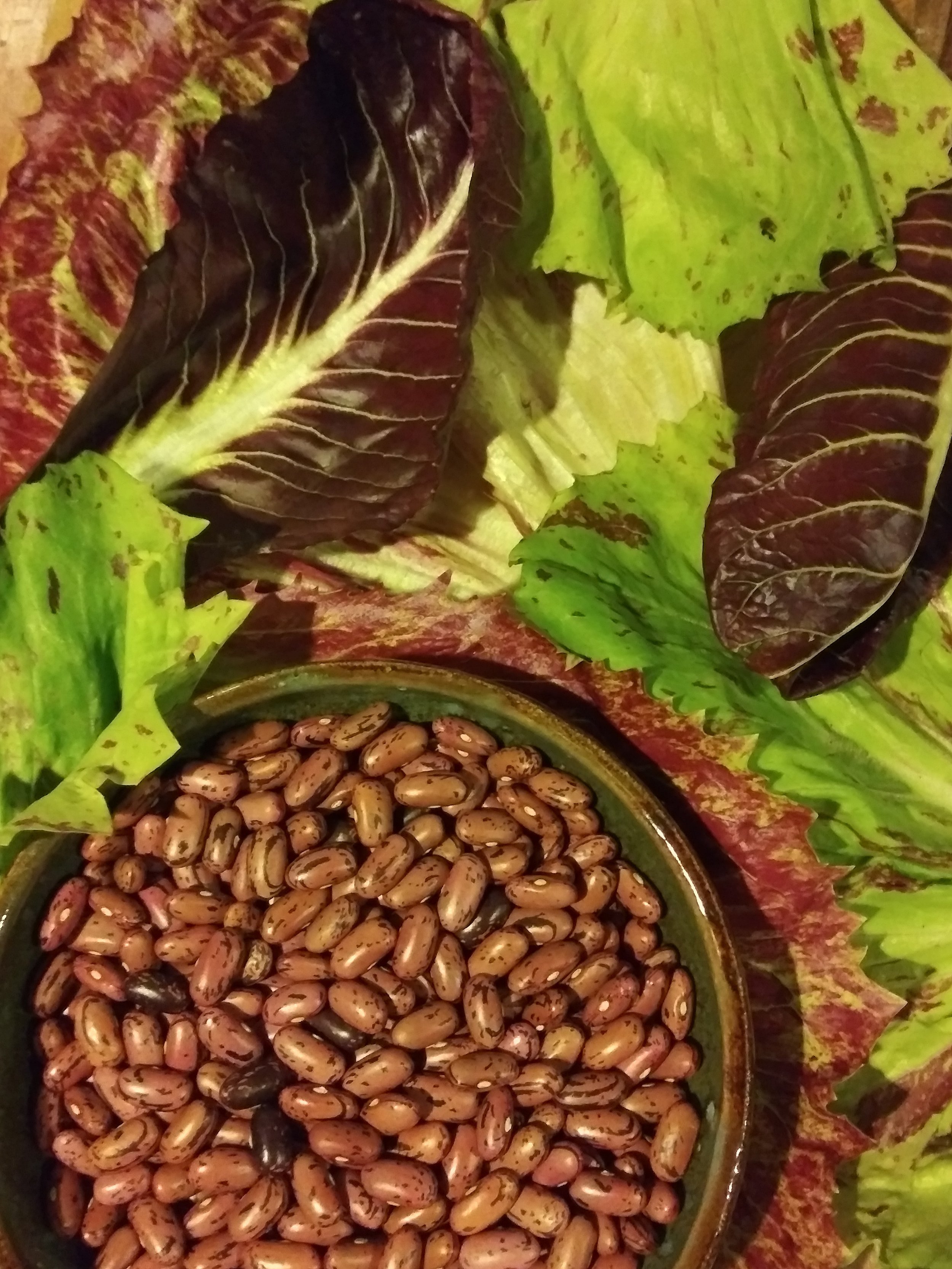 chicories and beans.jpg