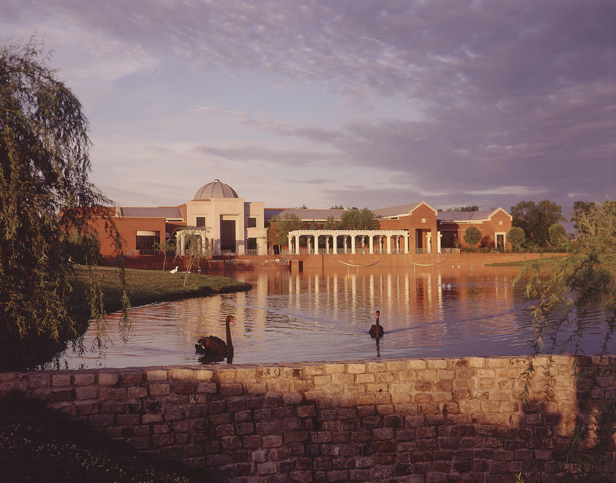 Museum & Swans.jpg