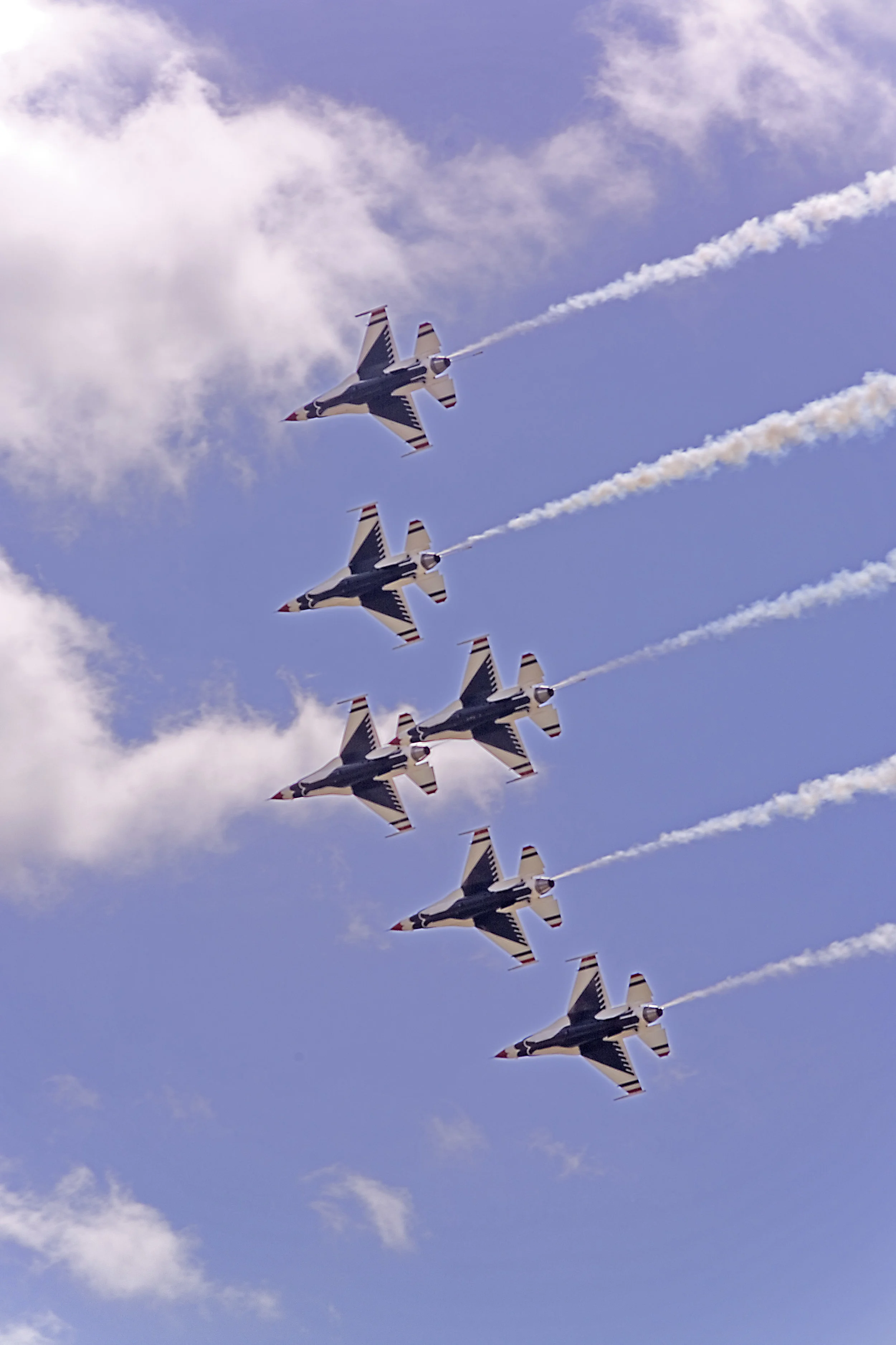 T Birds 2.jpg