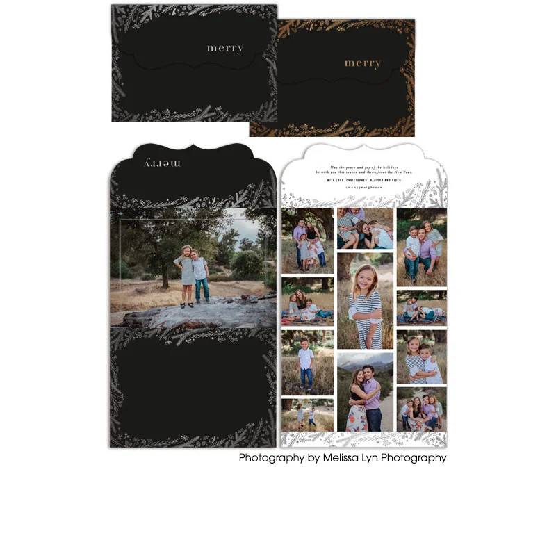 sq-IcyFieldsCollage-500x600-7x5FoldedLuxePRODUCT.jpg