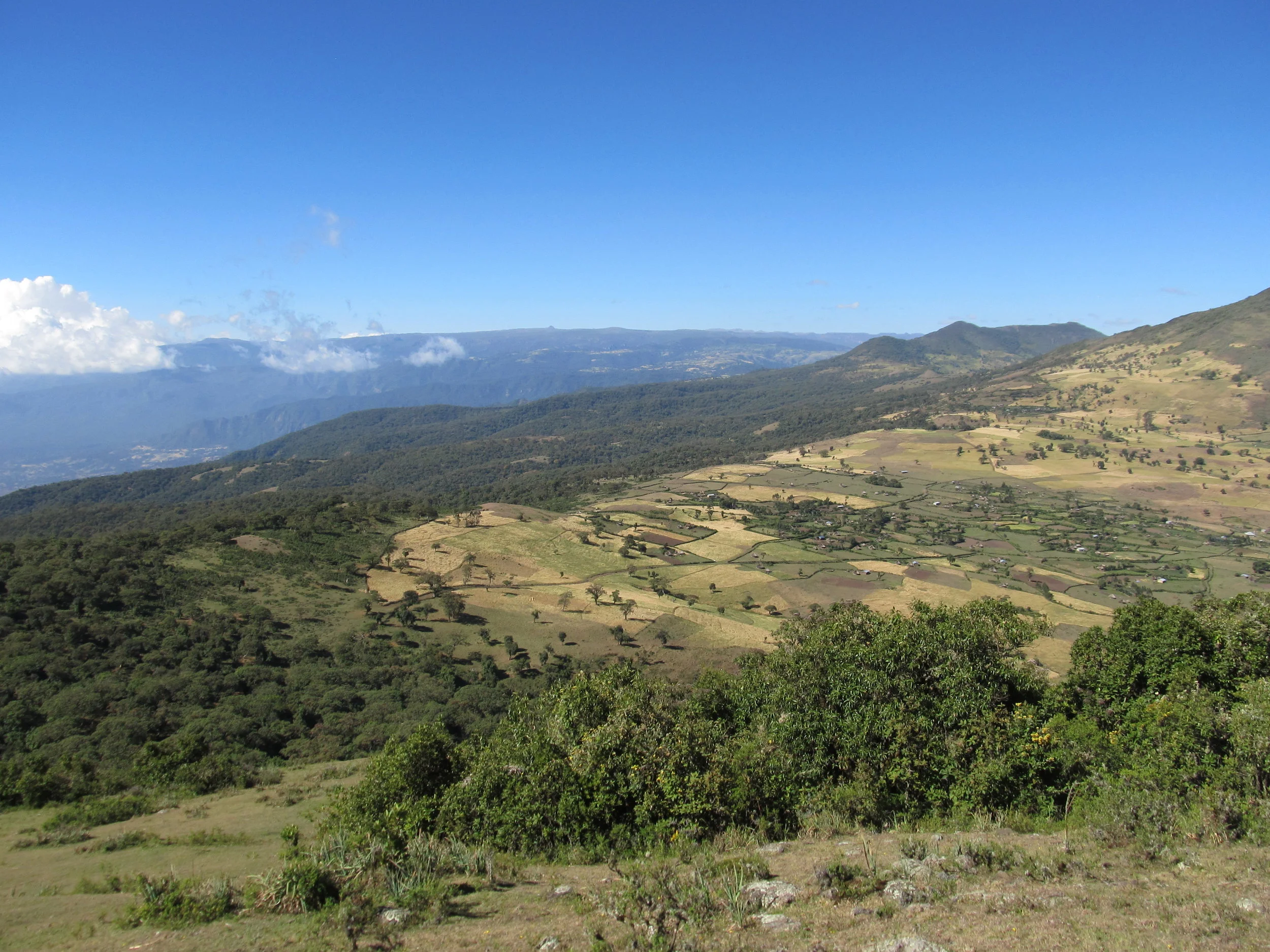 Ethiopia Dec 2012 138 - Copy.JPG