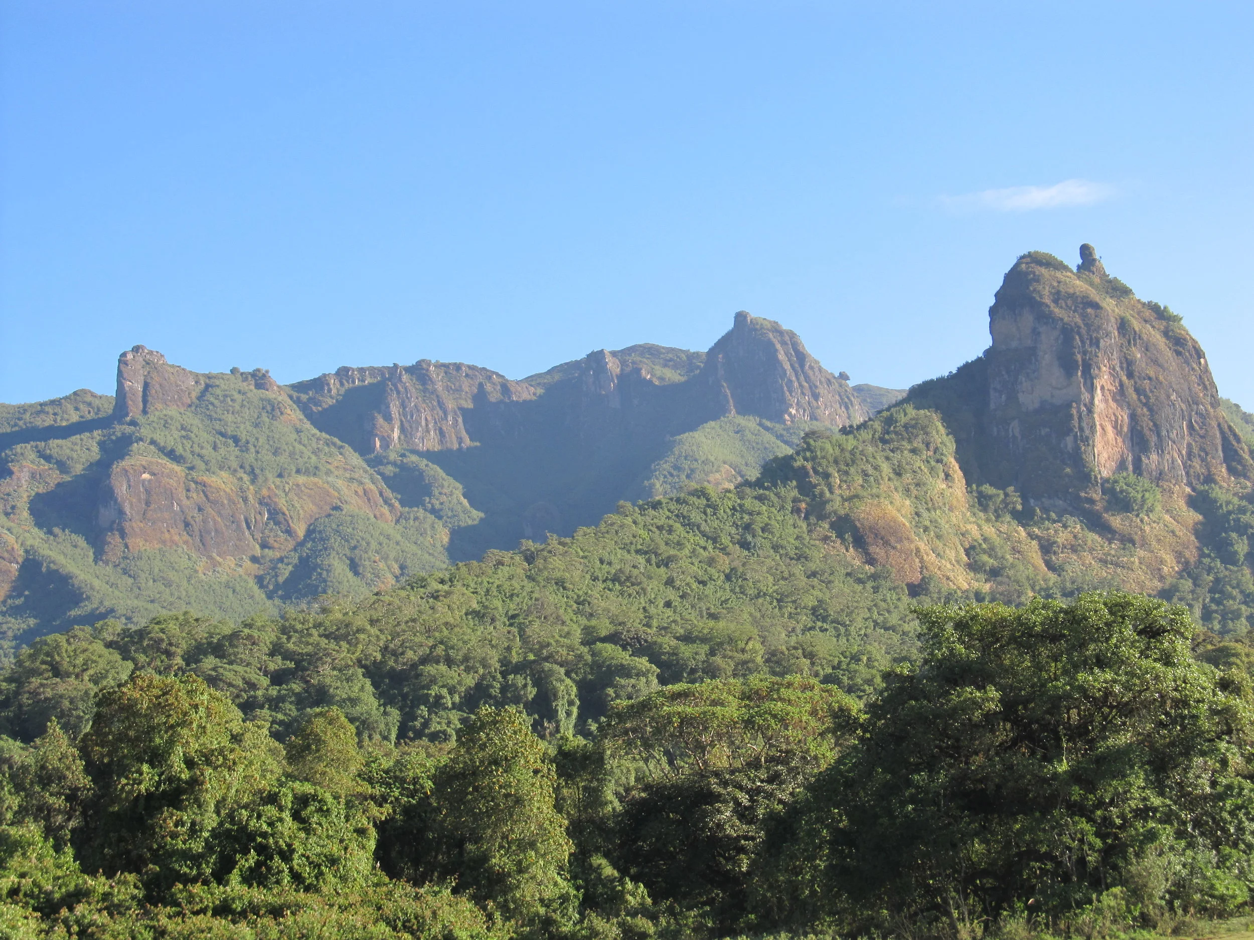 Bale Mountains Biodiversity — The Murulle Foundation