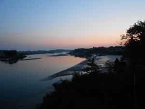 Mid July 033