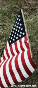 flag