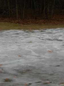 pink golf ball on ice