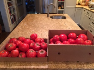 2 boxes of toms