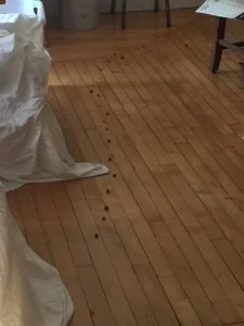 jelly bean trail