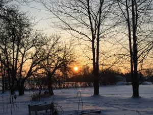 IMG_1752