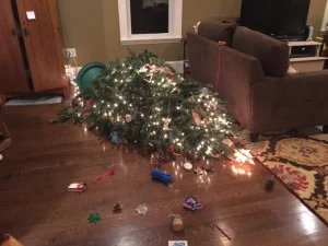 Tree crash