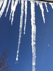 j16 melt
