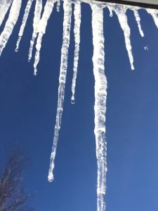 j19 melt
