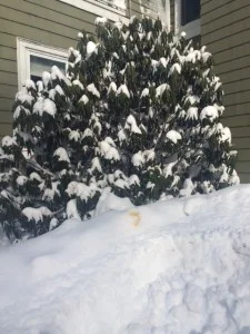 j36 snow shovel