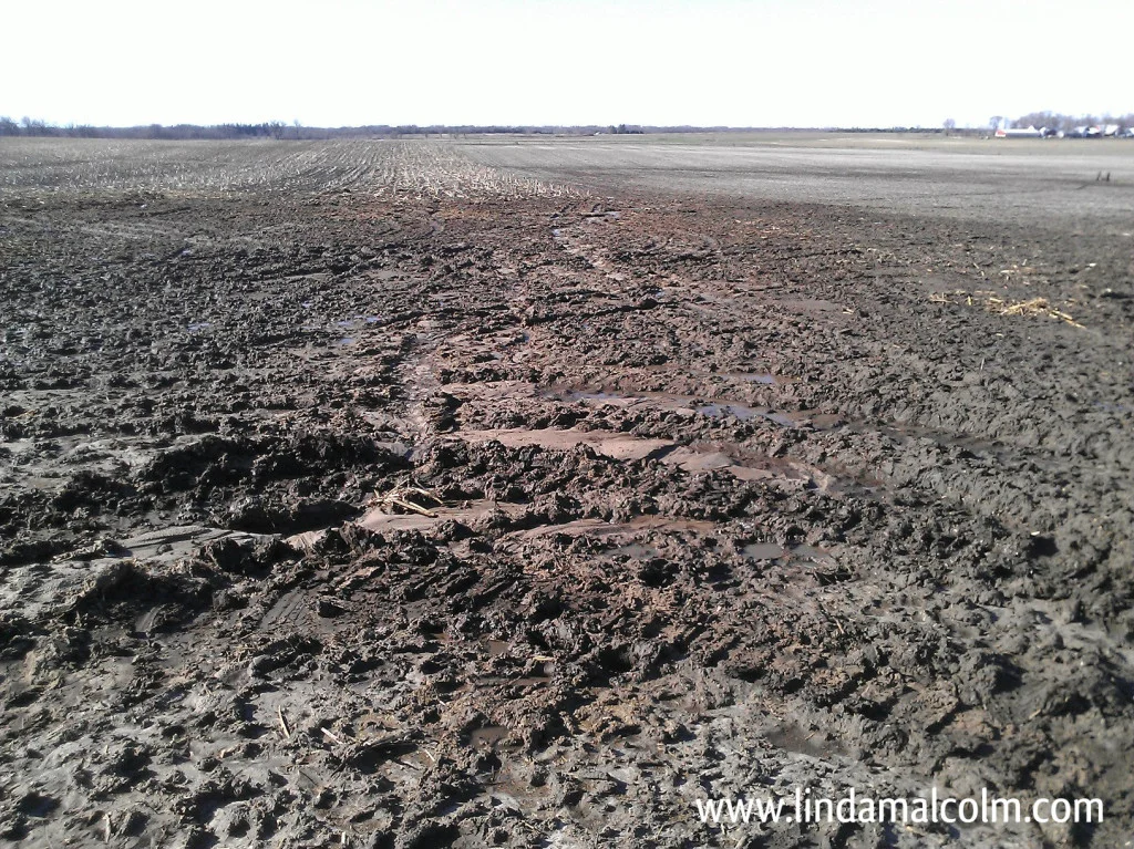 Iowa spring mud & slop water marked
