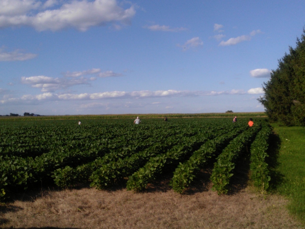 20130922-075617.jpg