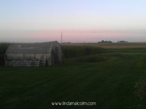 4 old chicken shed
