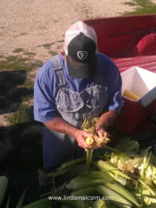 5a dad shucking head down 2